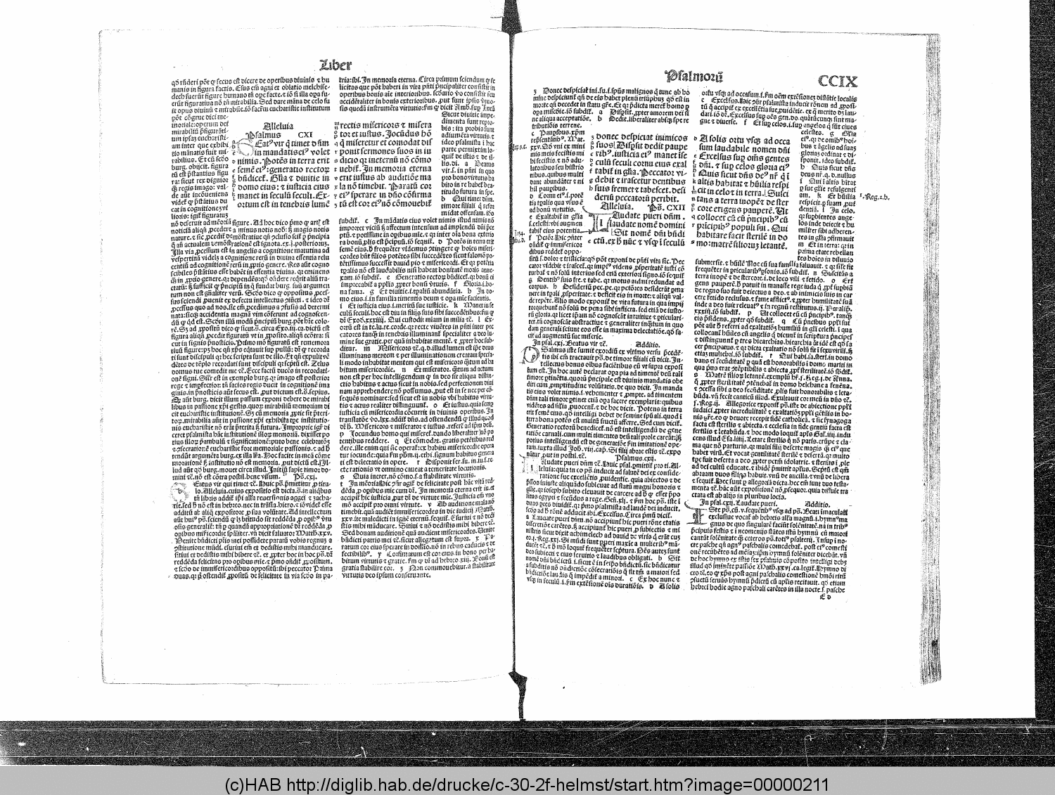 http://diglib.hab.de/drucke/c-30-2f-helmst/00000211.gif