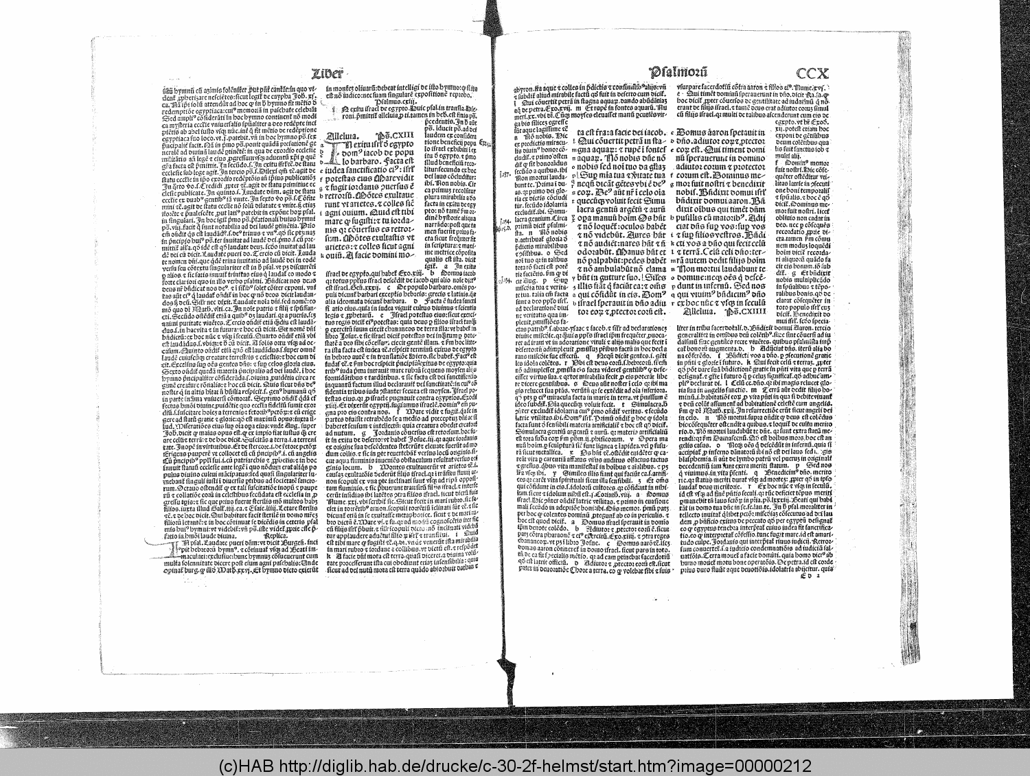 http://diglib.hab.de/drucke/c-30-2f-helmst/00000212.gif
