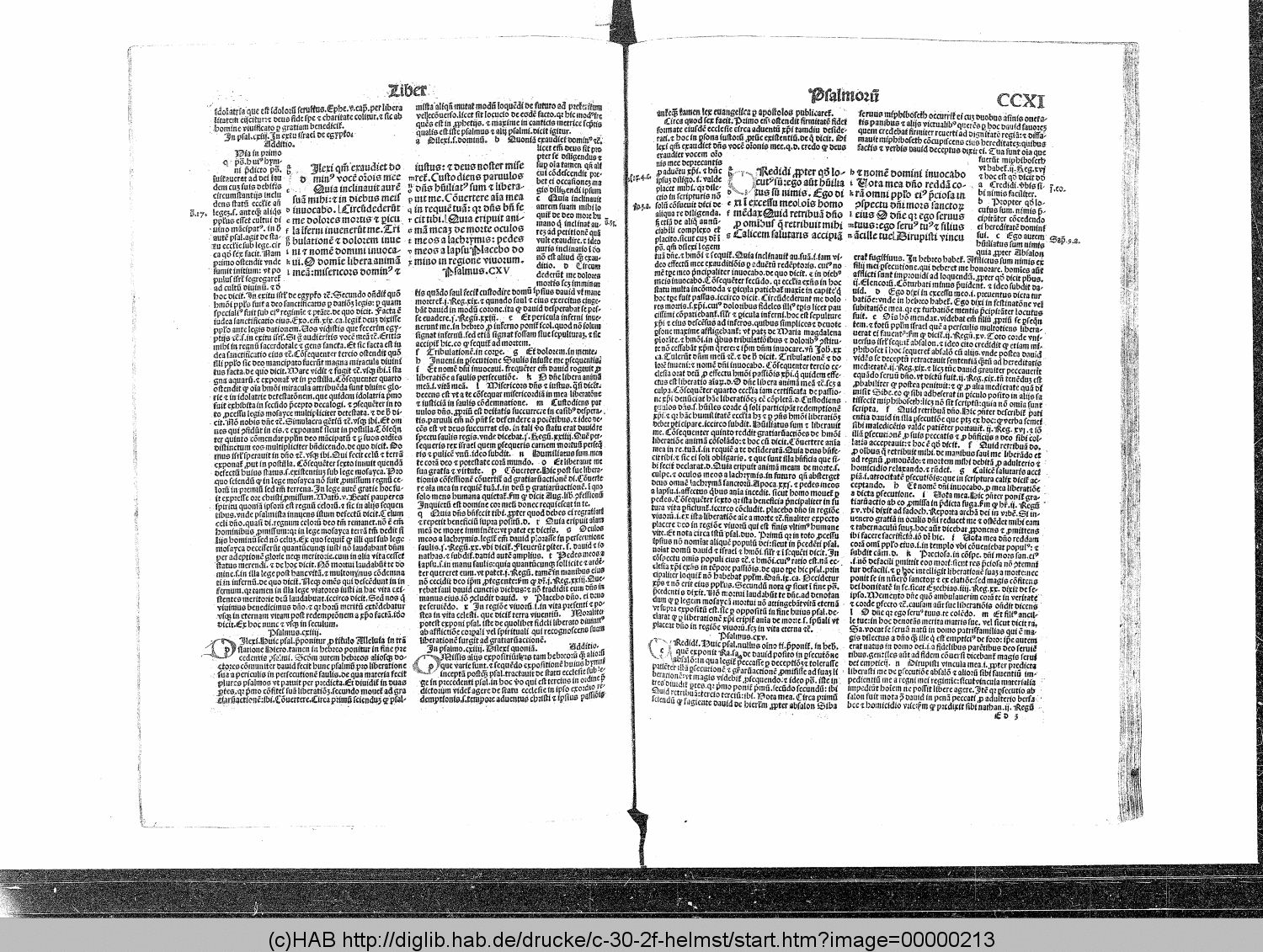 http://diglib.hab.de/drucke/c-30-2f-helmst/00000213.gif