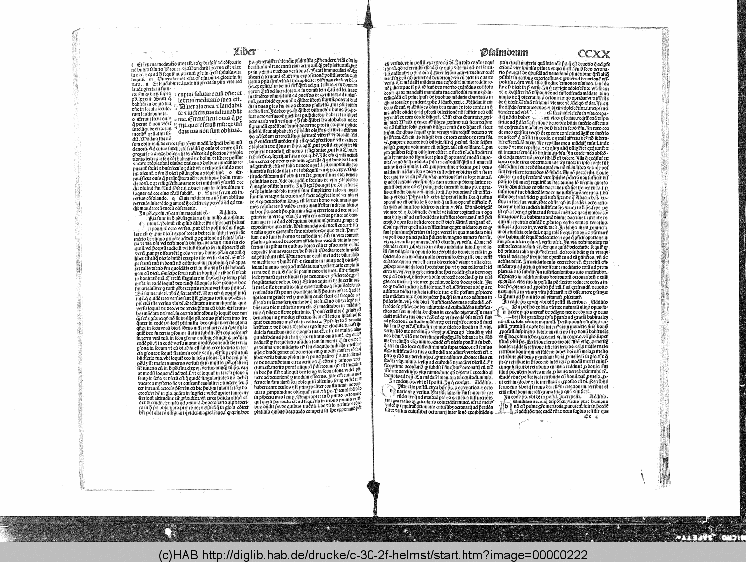 http://diglib.hab.de/drucke/c-30-2f-helmst/00000222.gif