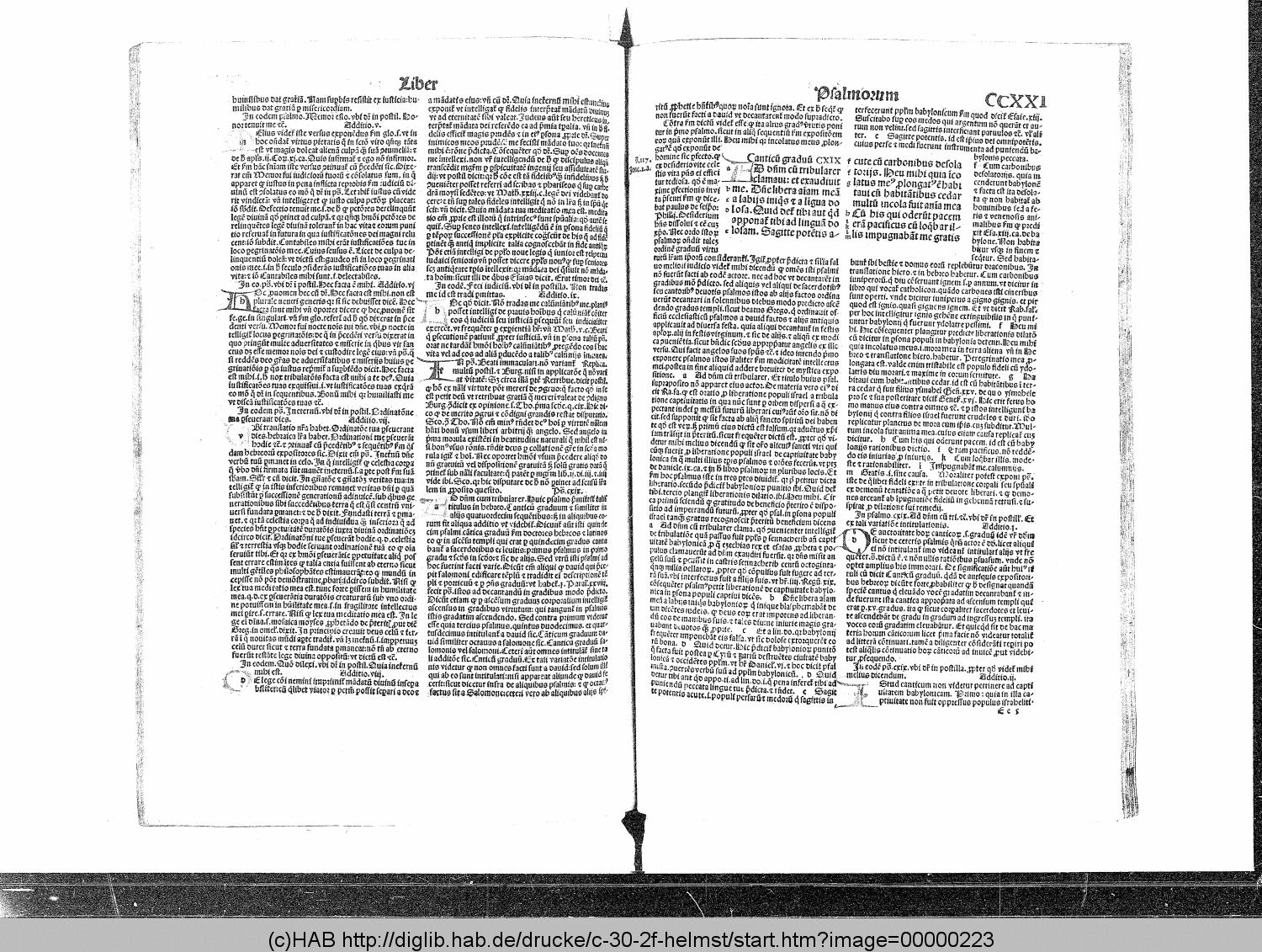 http://diglib.hab.de/drucke/c-30-2f-helmst/00000223.gif