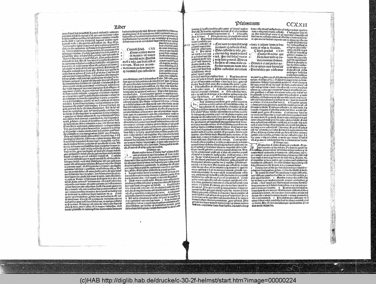 http://diglib.hab.de/drucke/c-30-2f-helmst/00000224.gif