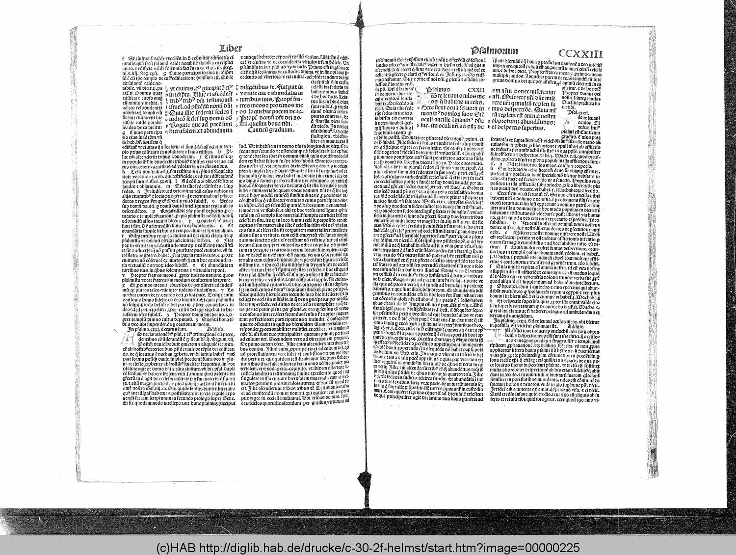 http://diglib.hab.de/drucke/c-30-2f-helmst/00000225.gif