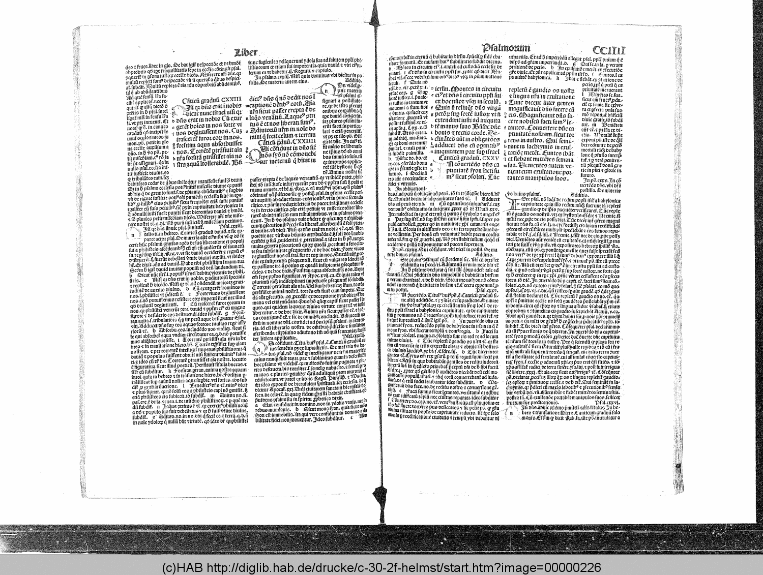 http://diglib.hab.de/drucke/c-30-2f-helmst/00000226.gif