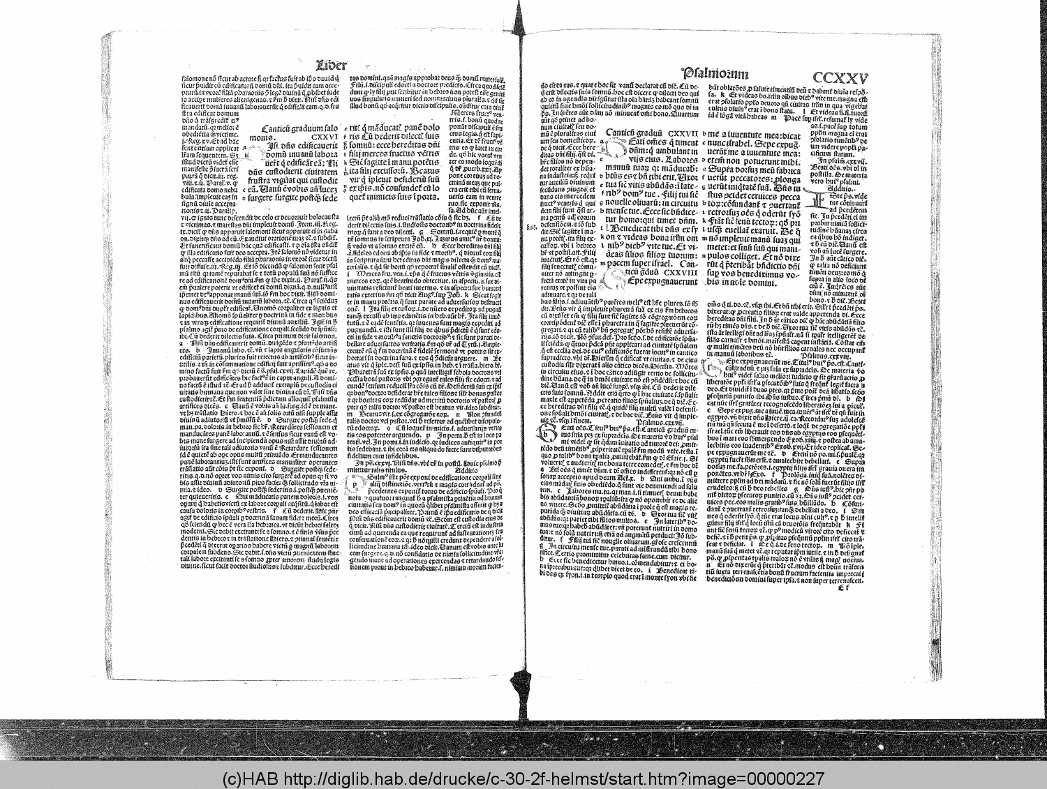 http://diglib.hab.de/drucke/c-30-2f-helmst/00000227.gif