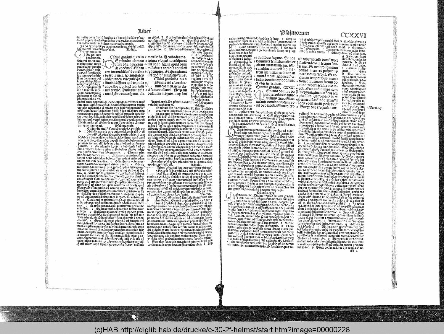 http://diglib.hab.de/drucke/c-30-2f-helmst/00000228.gif