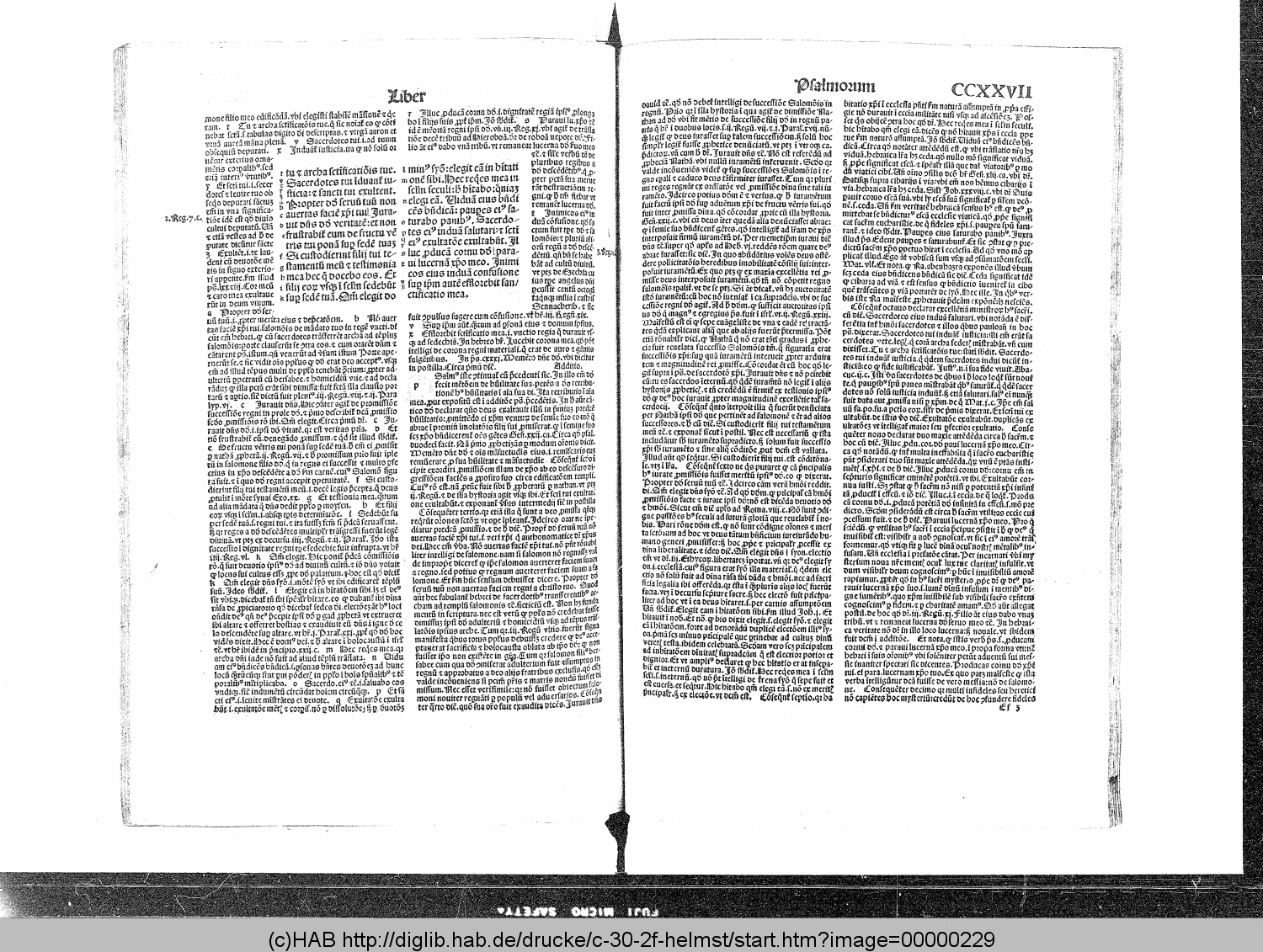 http://diglib.hab.de/drucke/c-30-2f-helmst/00000229.gif