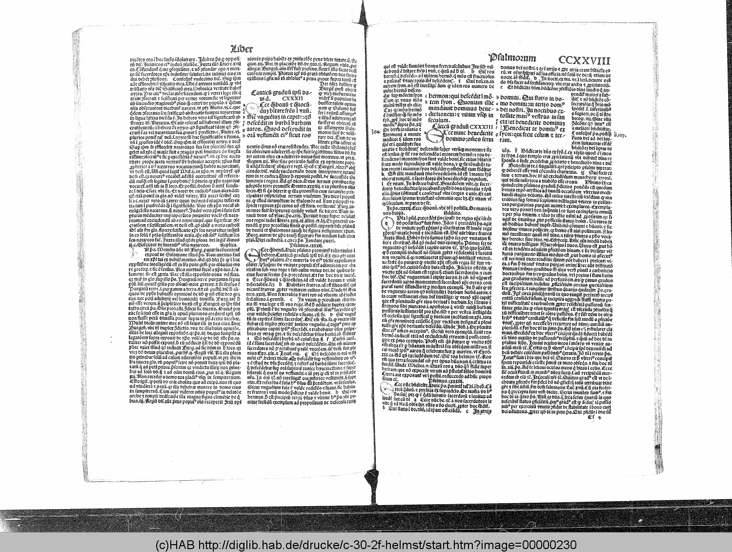 http://diglib.hab.de/drucke/c-30-2f-helmst/00000230.gif