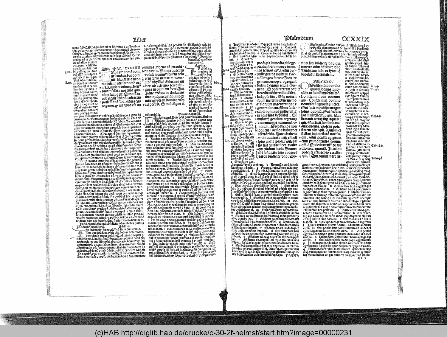 http://diglib.hab.de/drucke/c-30-2f-helmst/00000231.gif