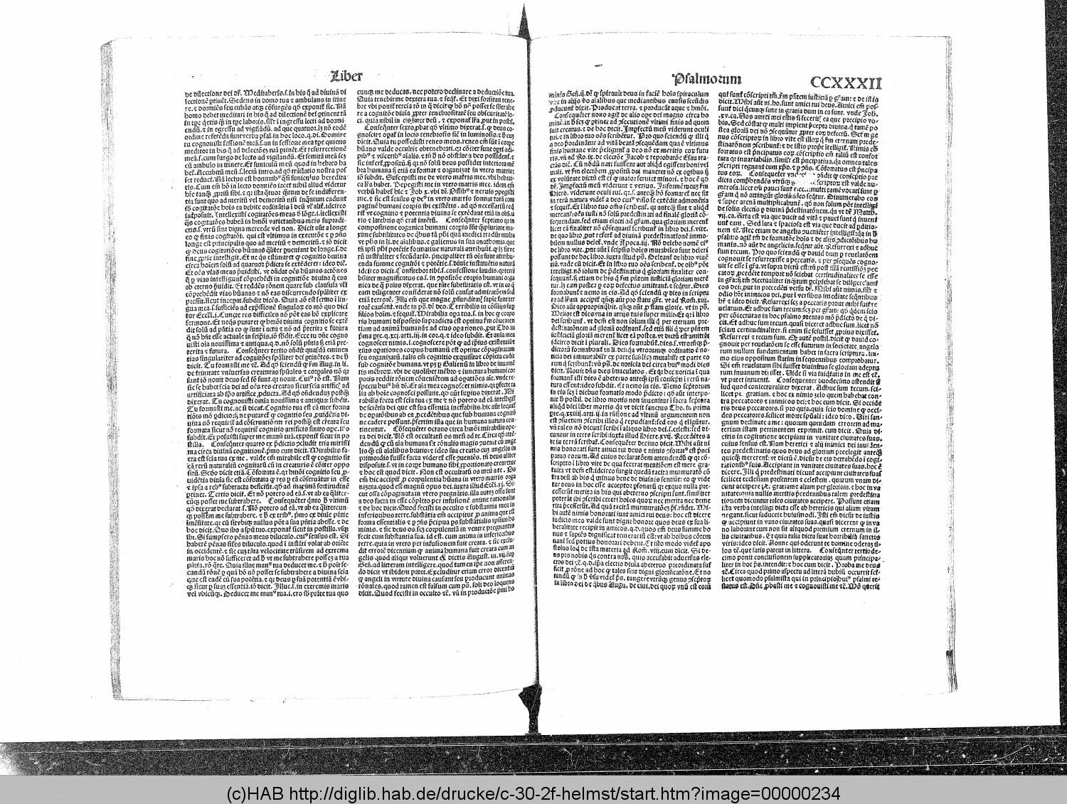http://diglib.hab.de/drucke/c-30-2f-helmst/00000234.gif