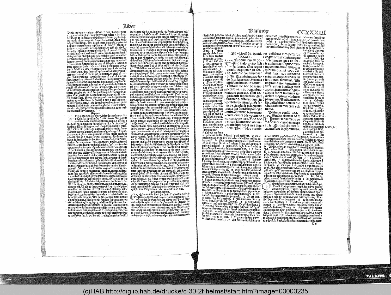 http://diglib.hab.de/drucke/c-30-2f-helmst/00000235.gif