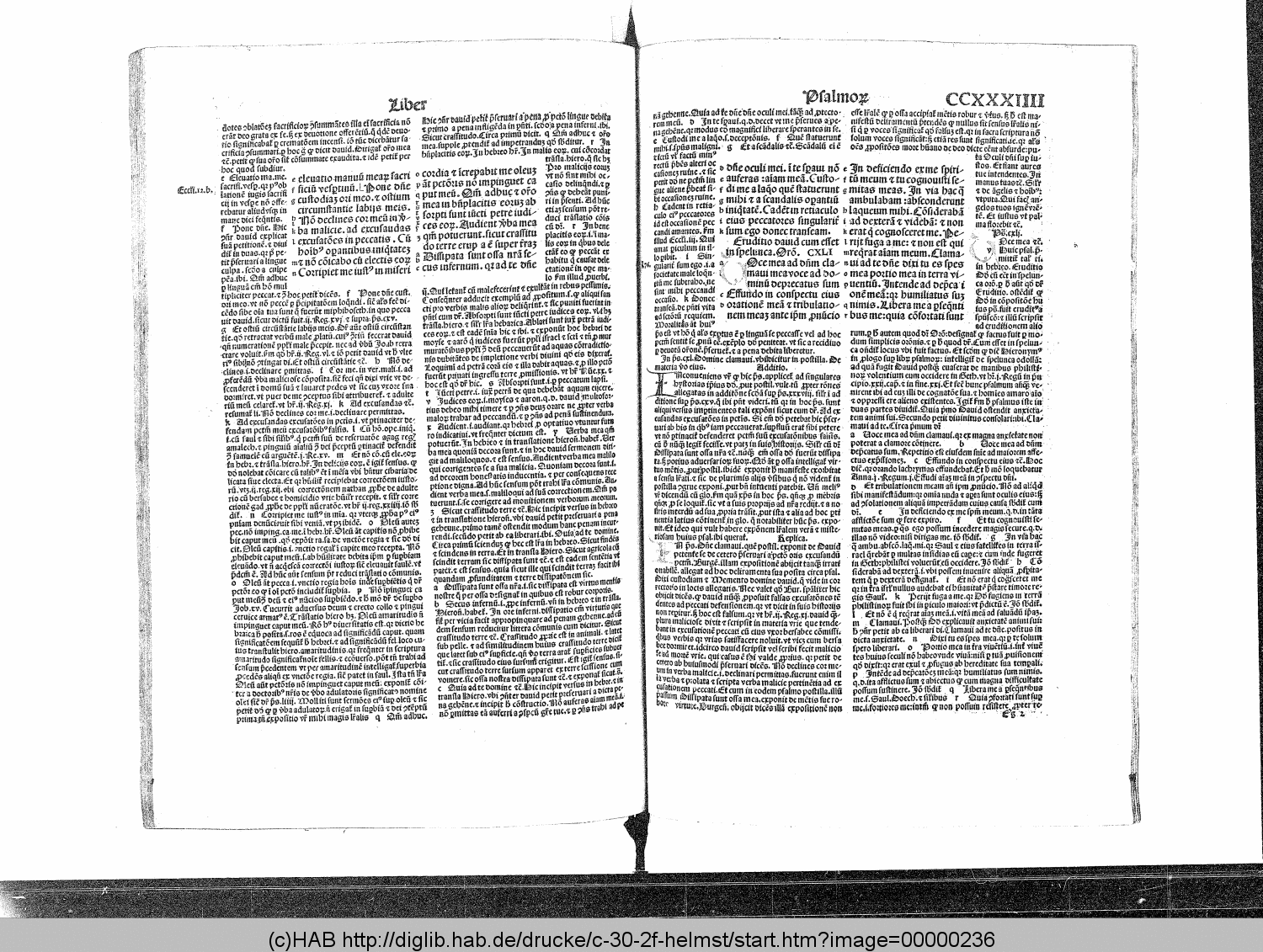 http://diglib.hab.de/drucke/c-30-2f-helmst/00000236.gif