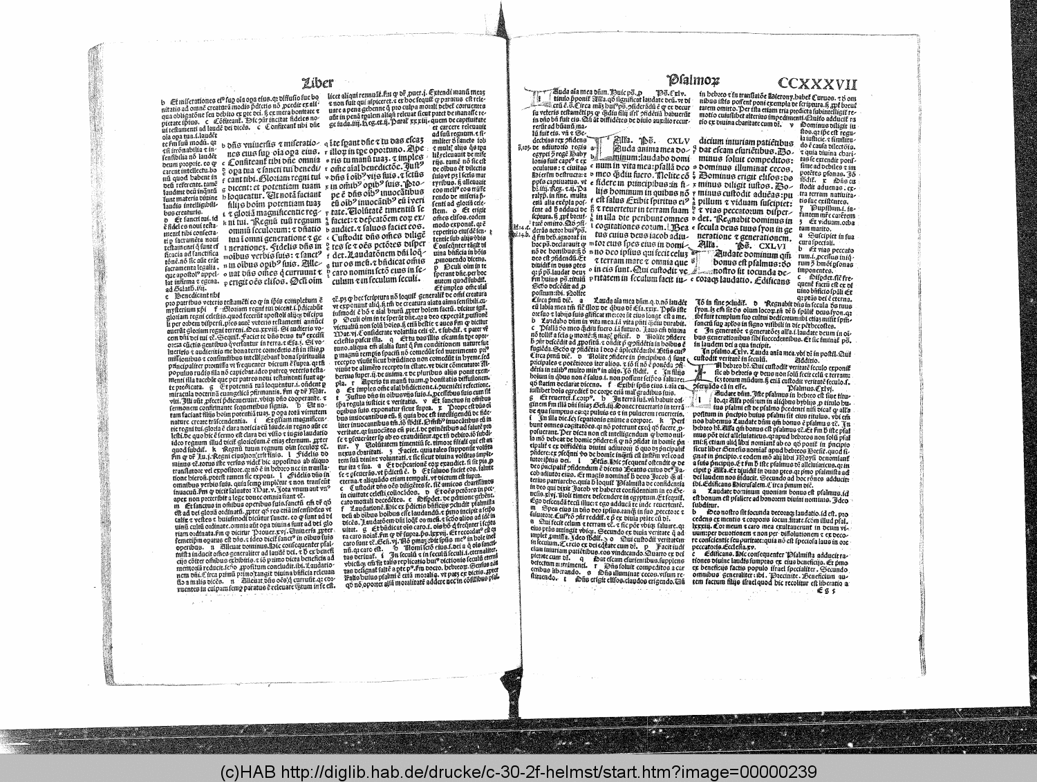 http://diglib.hab.de/drucke/c-30-2f-helmst/00000239.gif