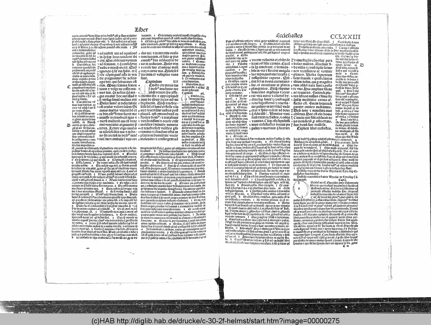 http://diglib.hab.de/drucke/c-30-2f-helmst/00000275.gif