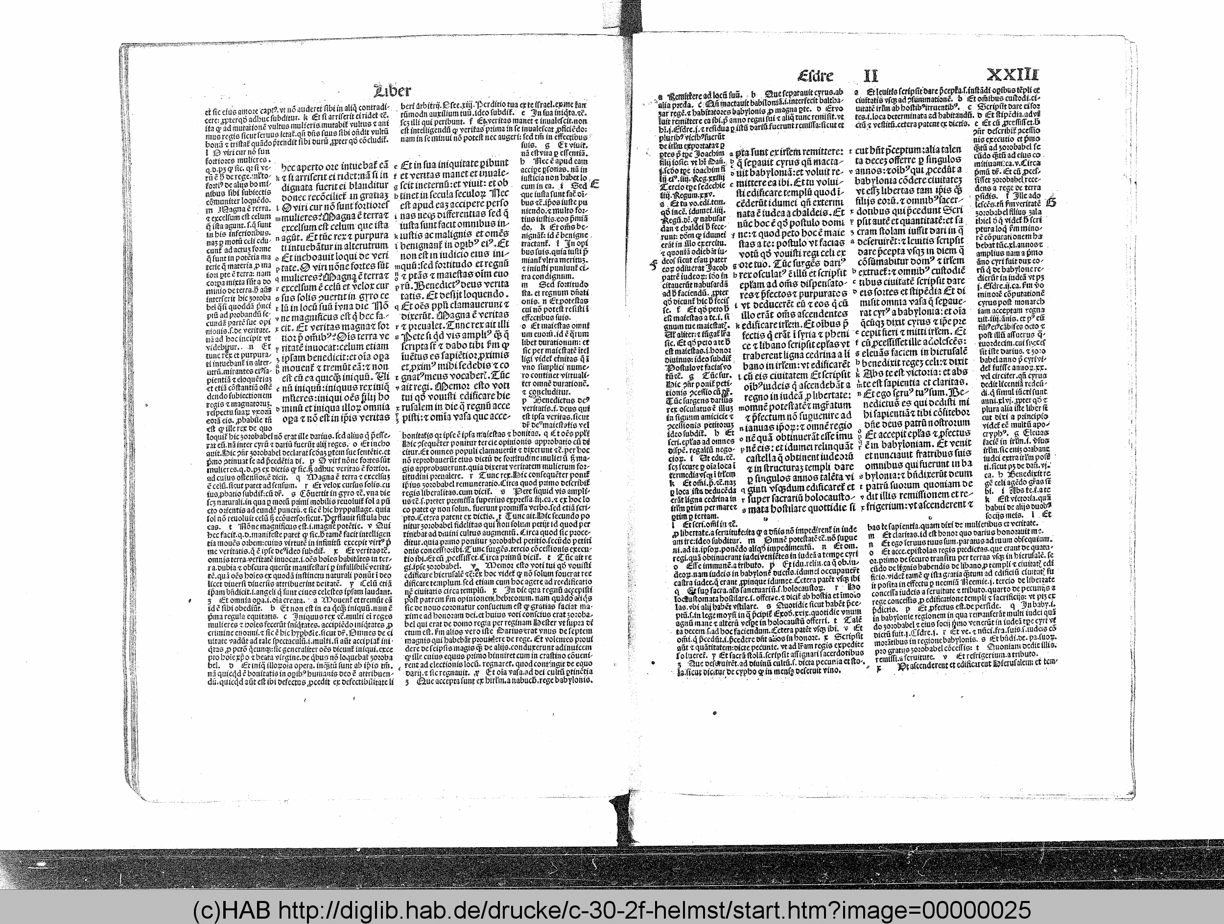http://diglib.hab.de/drucke/c-30-2f-helmst/max/00000025.gif