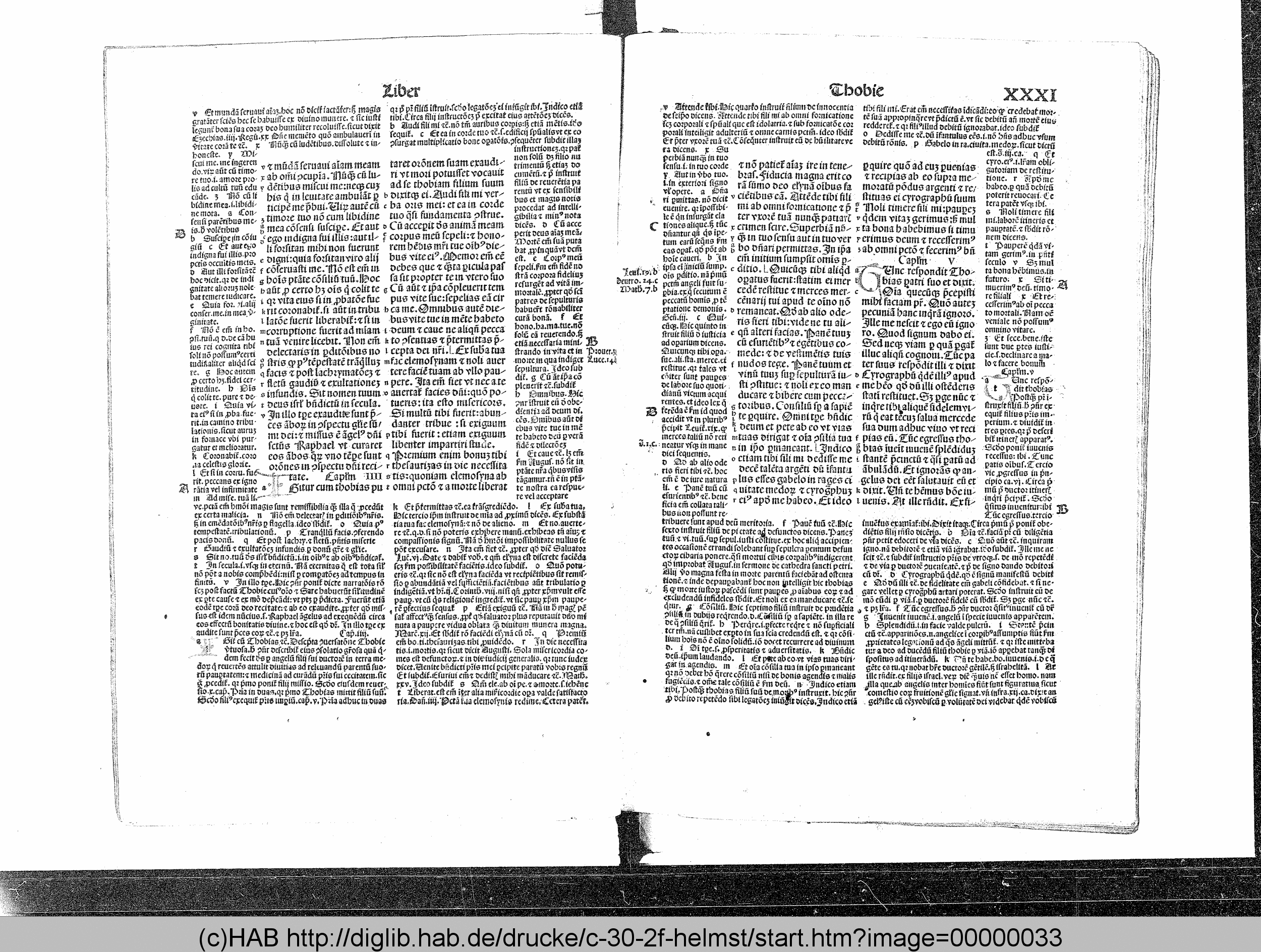 http://diglib.hab.de/drucke/c-30-2f-helmst/max/00000033.gif