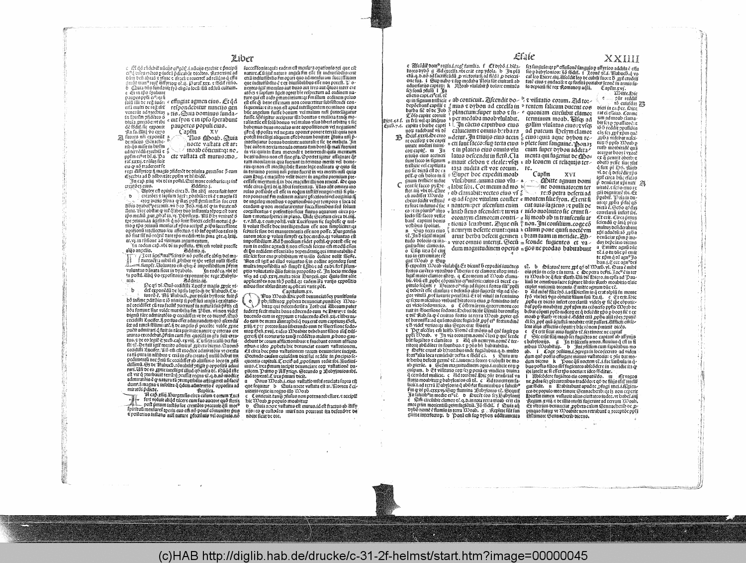 http://diglib.hab.de/drucke/c-31-2f-helmst/00000045.gif
