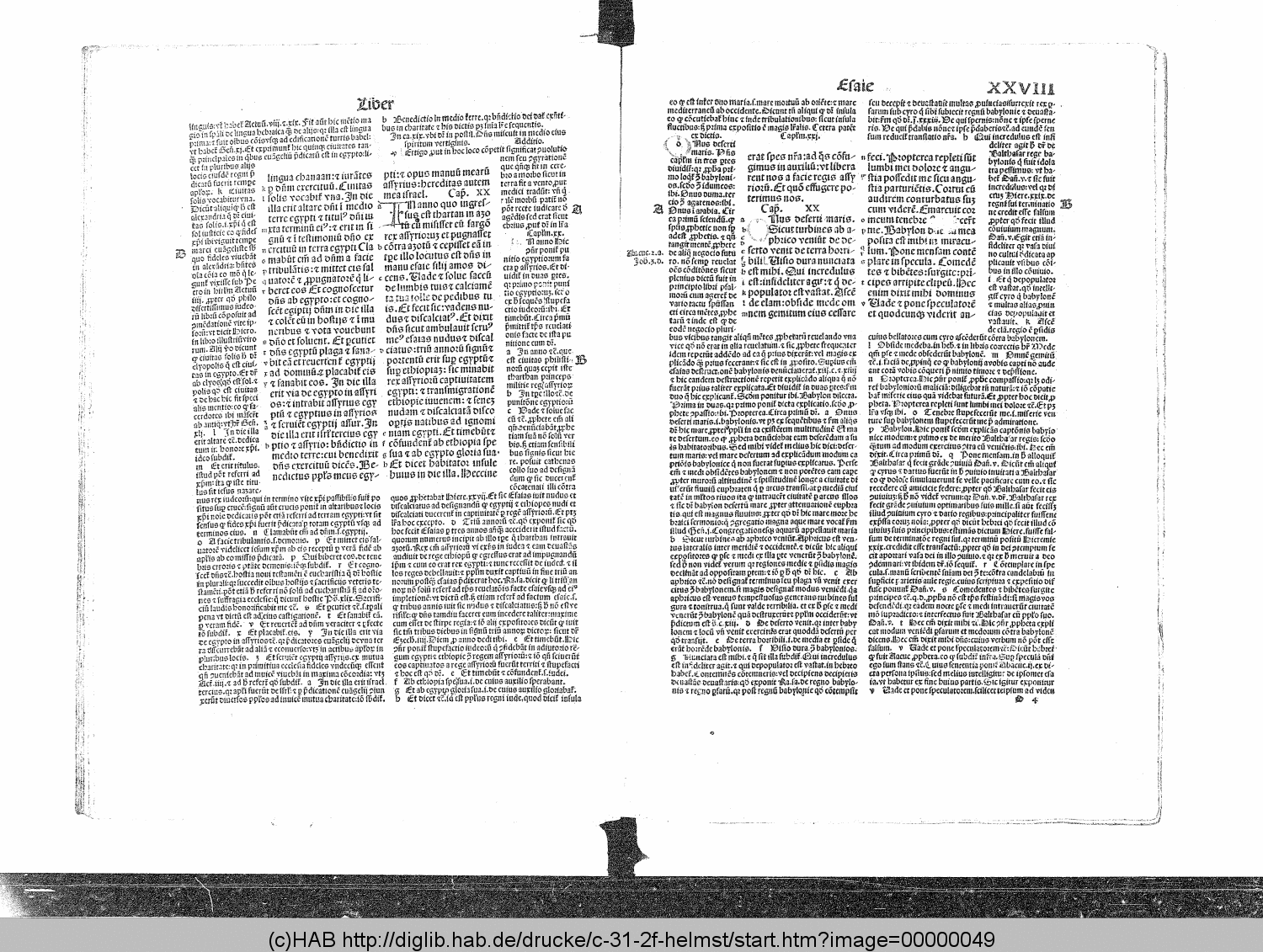 http://diglib.hab.de/drucke/c-31-2f-helmst/00000049.gif