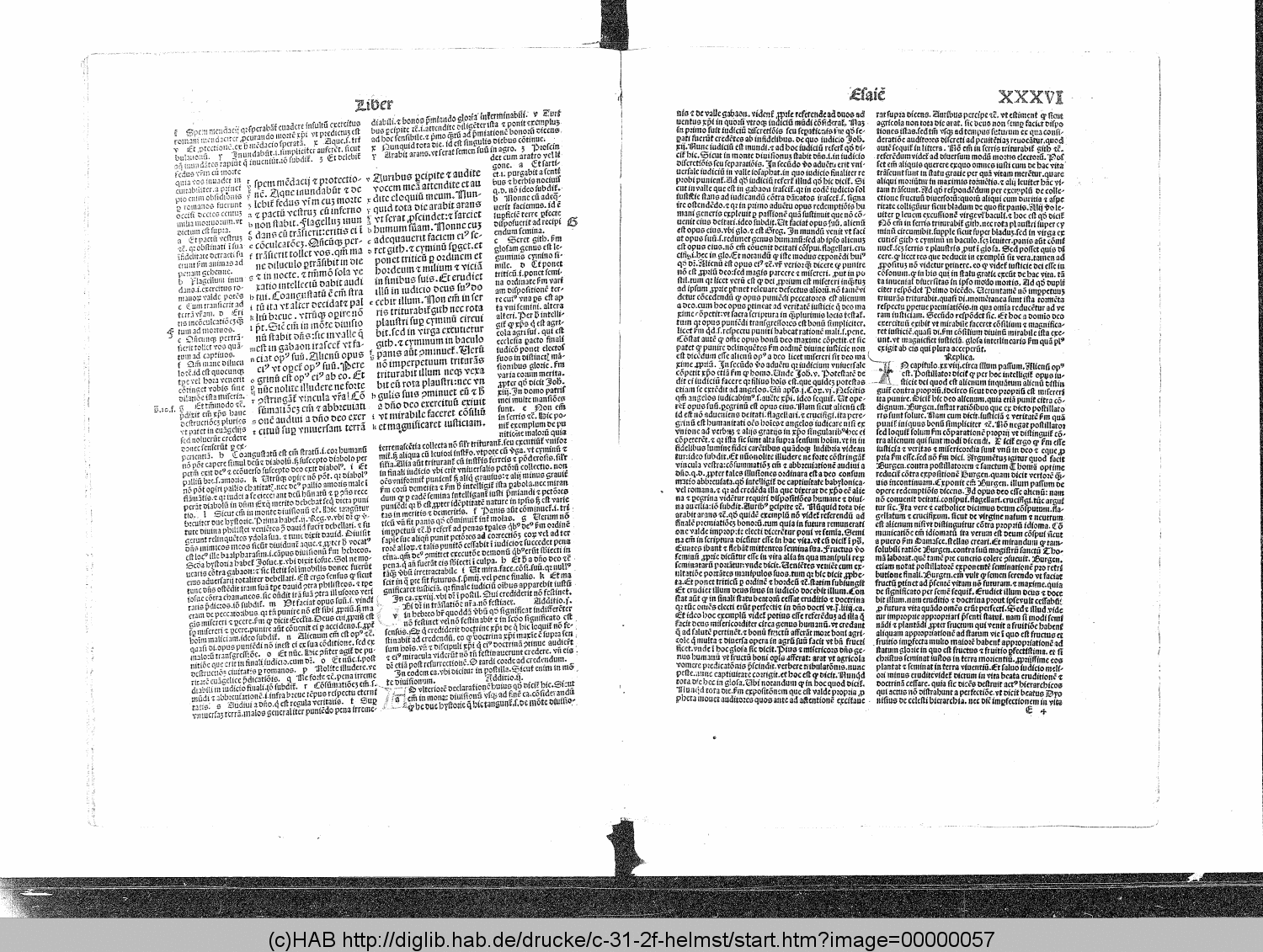 http://diglib.hab.de/drucke/c-31-2f-helmst/00000057.gif