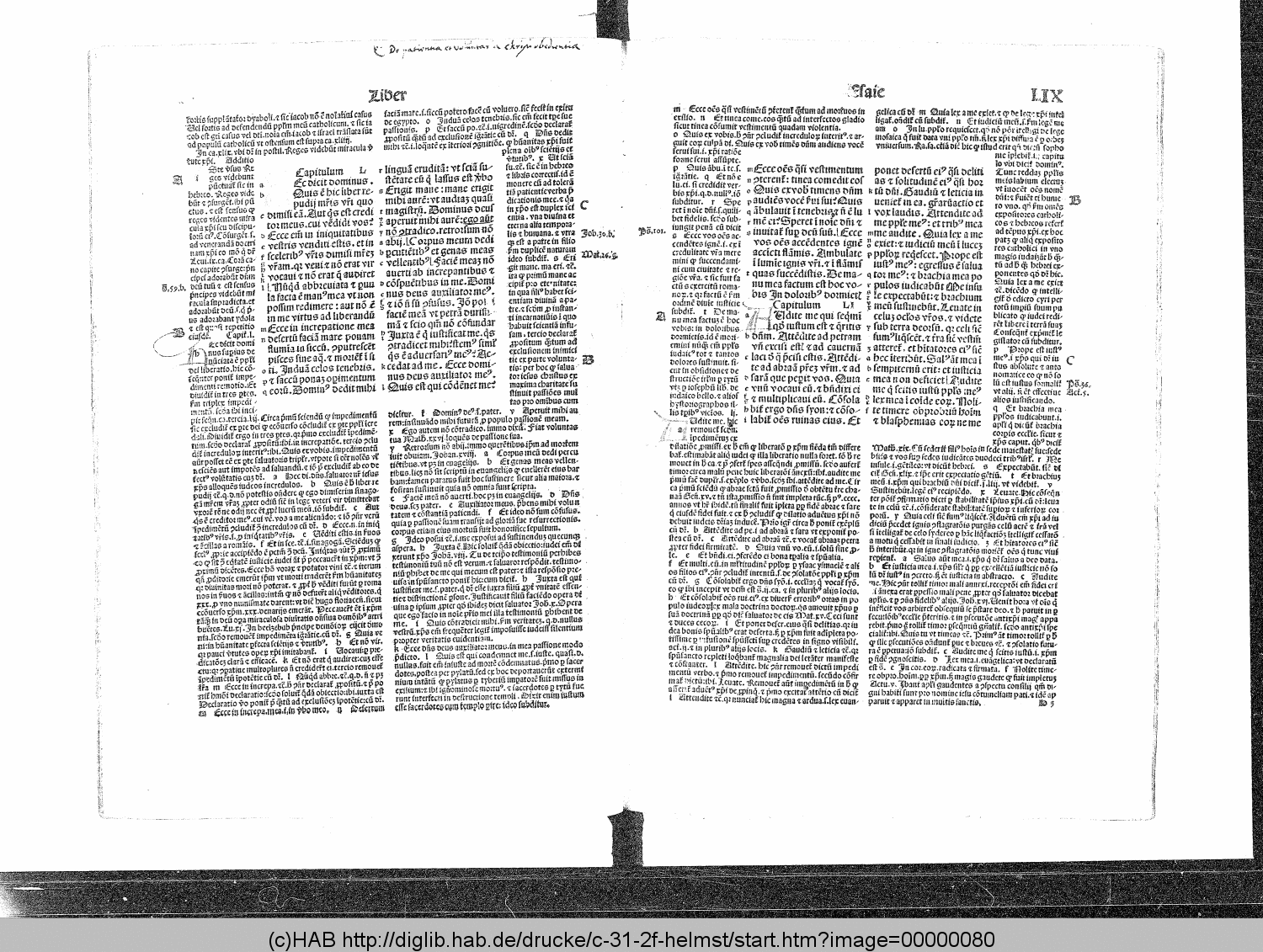 http://diglib.hab.de/drucke/c-31-2f-helmst/00000080.gif
