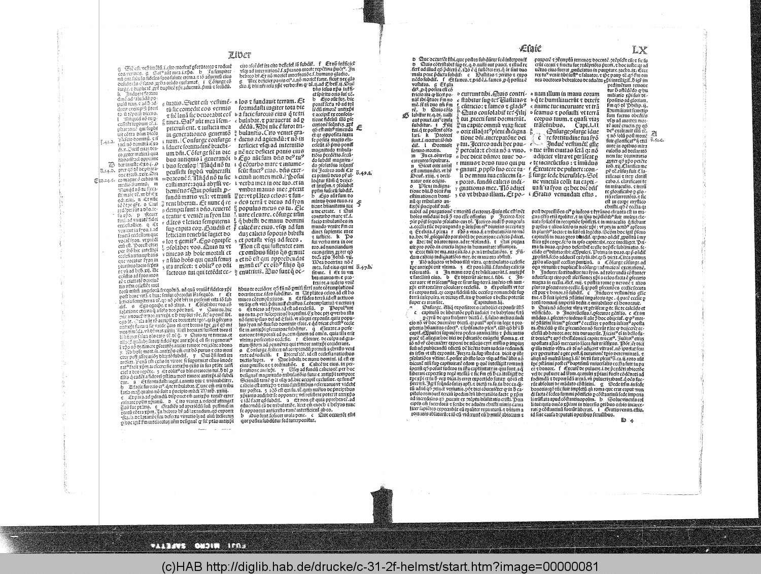 http://diglib.hab.de/drucke/c-31-2f-helmst/00000081.gif