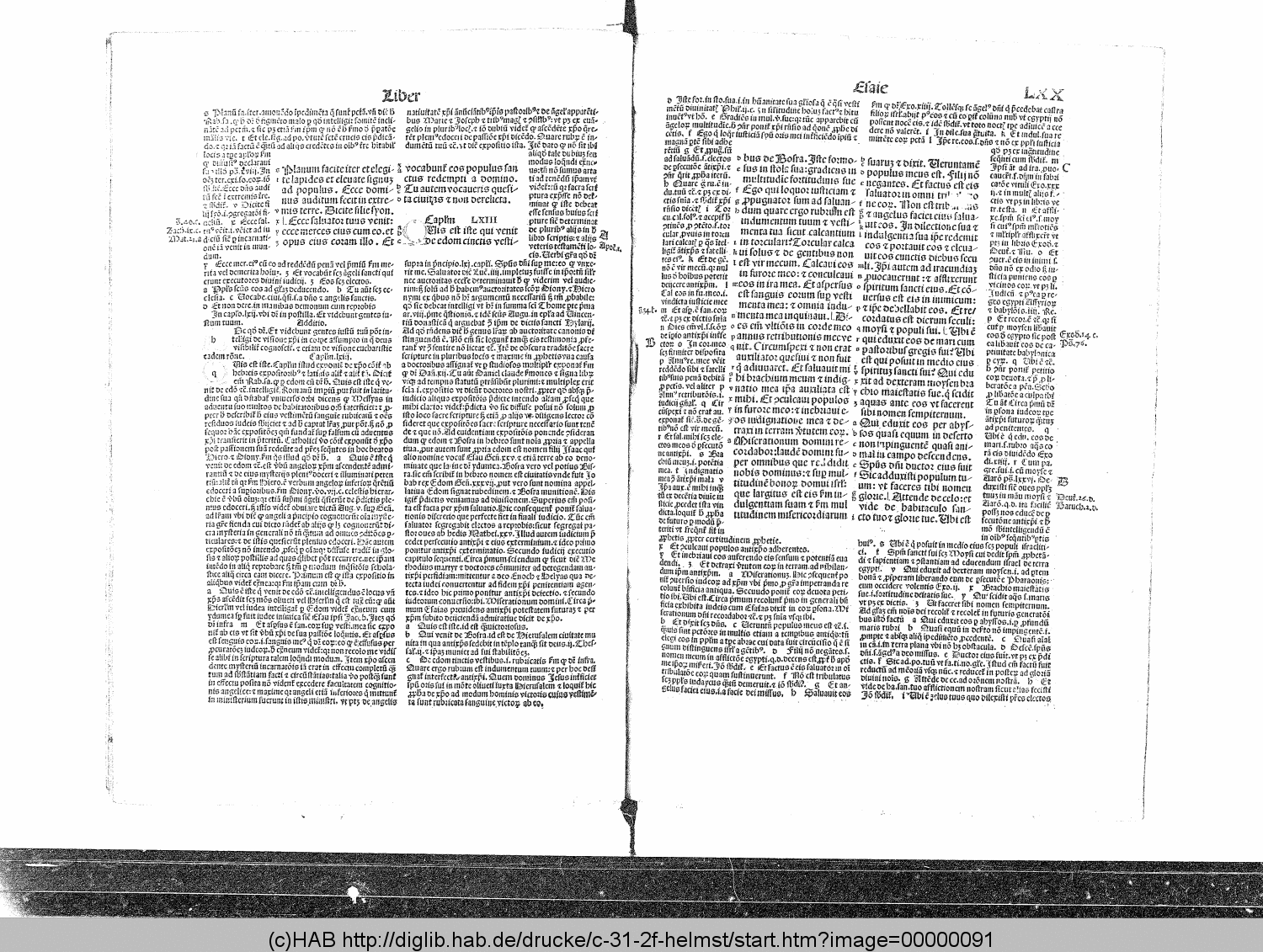 http://diglib.hab.de/drucke/c-31-2f-helmst/00000091.gif