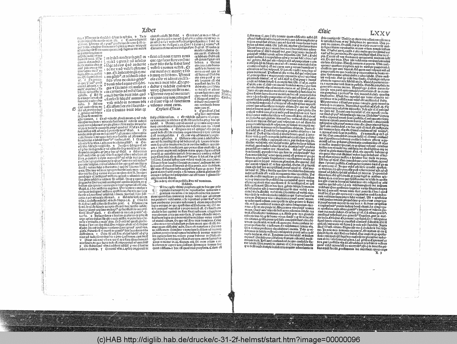 http://diglib.hab.de/drucke/c-31-2f-helmst/00000096.gif
