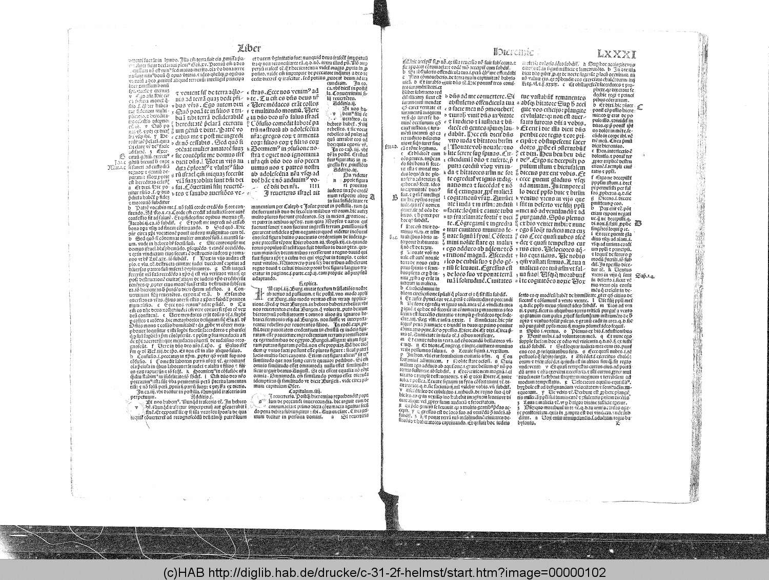 http://diglib.hab.de/drucke/c-31-2f-helmst/00000102.gif