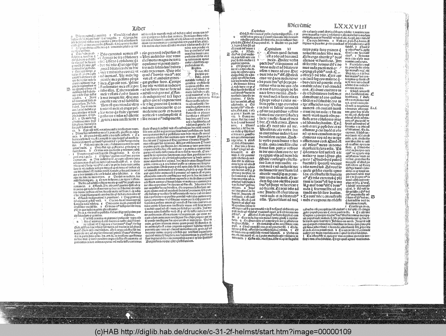 http://diglib.hab.de/drucke/c-31-2f-helmst/00000109.gif