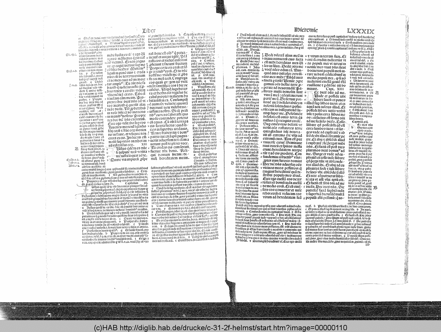 http://diglib.hab.de/drucke/c-31-2f-helmst/00000110.gif