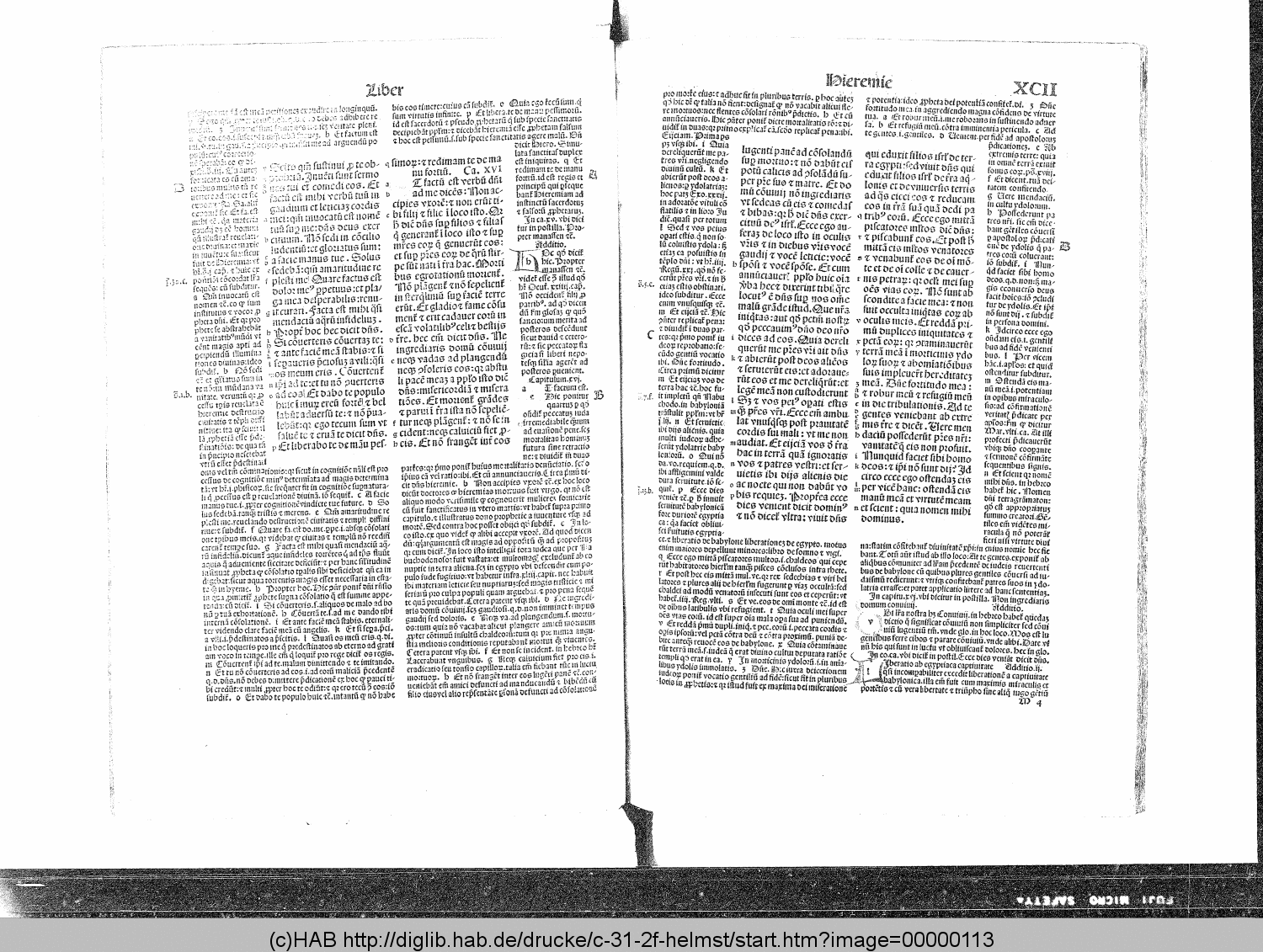 http://diglib.hab.de/drucke/c-31-2f-helmst/00000113.gif