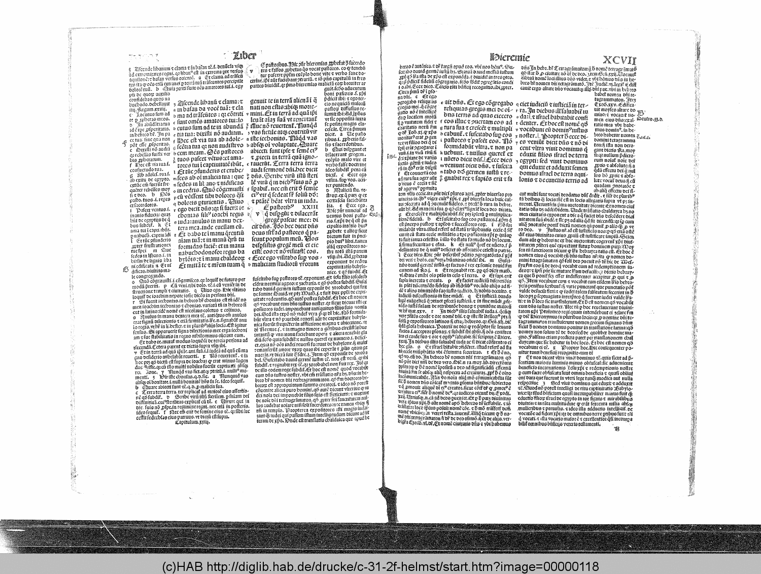 http://diglib.hab.de/drucke/c-31-2f-helmst/00000118.gif