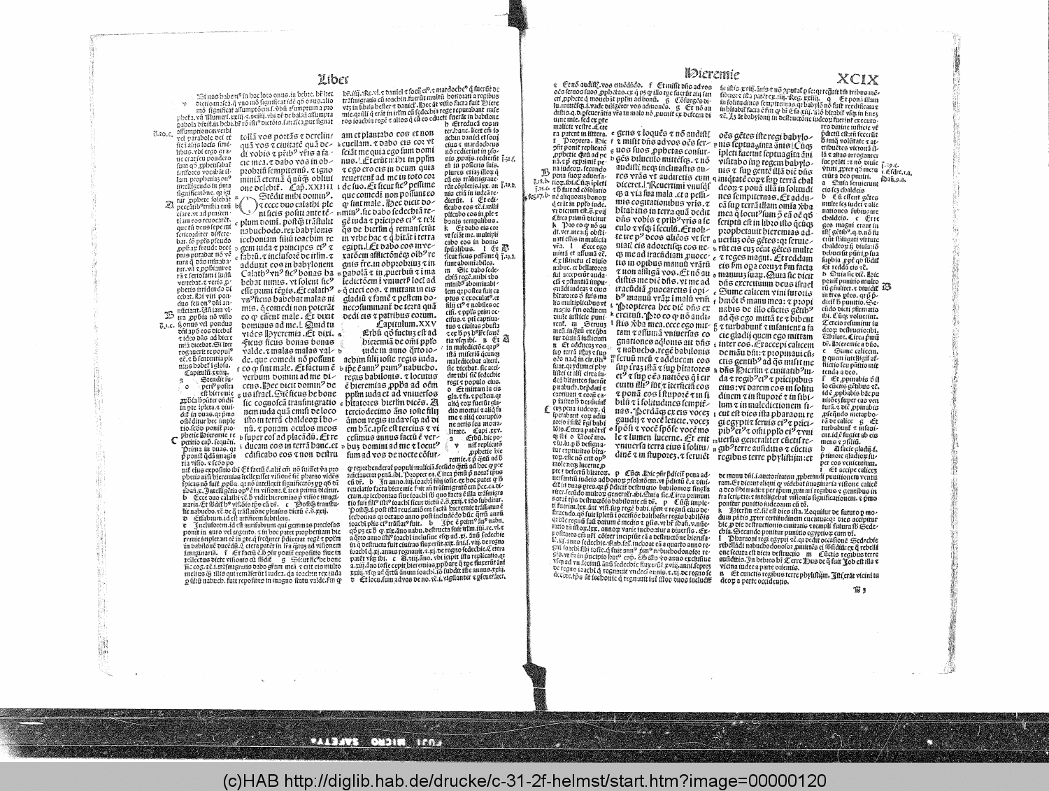 http://diglib.hab.de/drucke/c-31-2f-helmst/00000120.gif