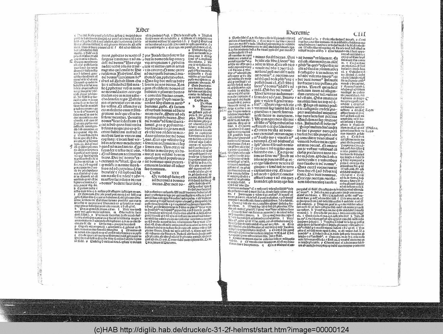 http://diglib.hab.de/drucke/c-31-2f-helmst/00000124.gif