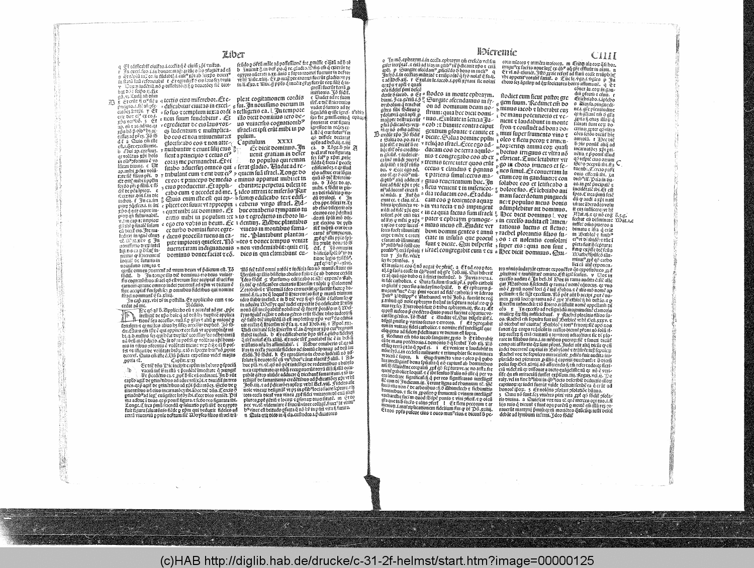 http://diglib.hab.de/drucke/c-31-2f-helmst/00000125.gif
