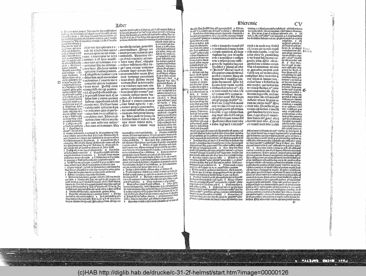 http://diglib.hab.de/drucke/c-31-2f-helmst/00000126.gif