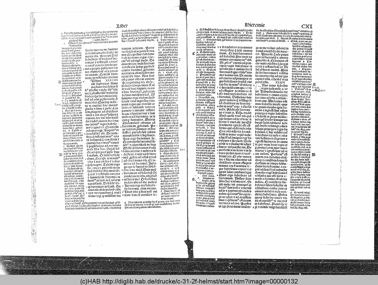 http://diglib.hab.de/drucke/c-31-2f-helmst/00000132.gif
