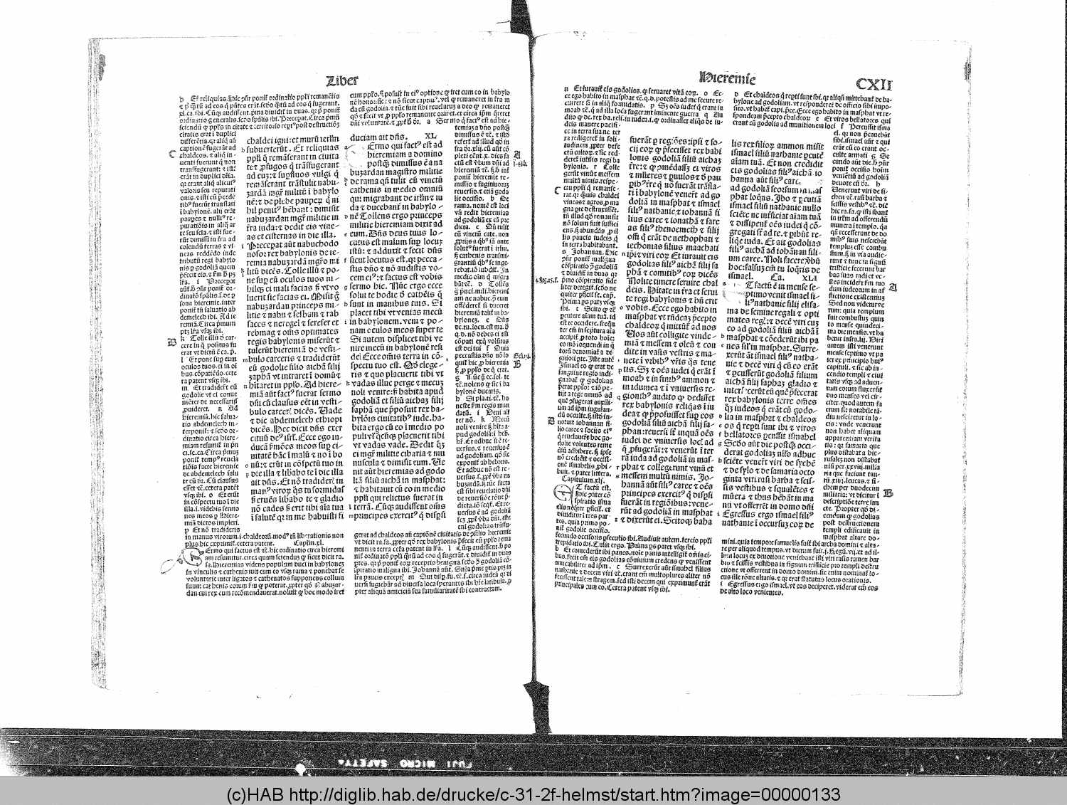 http://diglib.hab.de/drucke/c-31-2f-helmst/00000133.gif