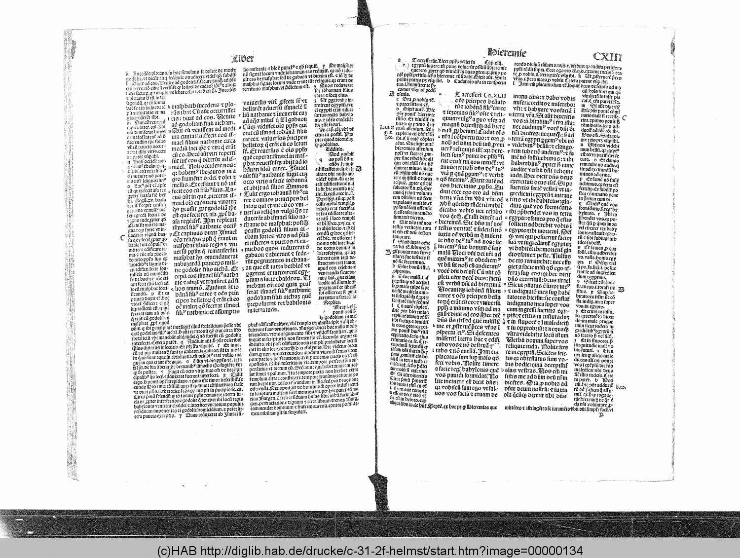 http://diglib.hab.de/drucke/c-31-2f-helmst/00000134.gif