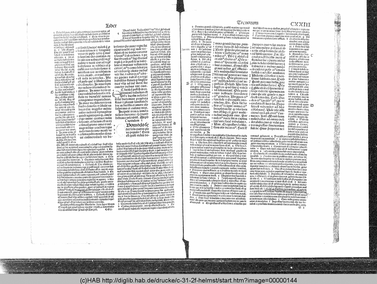 http://diglib.hab.de/drucke/c-31-2f-helmst/00000144.gif