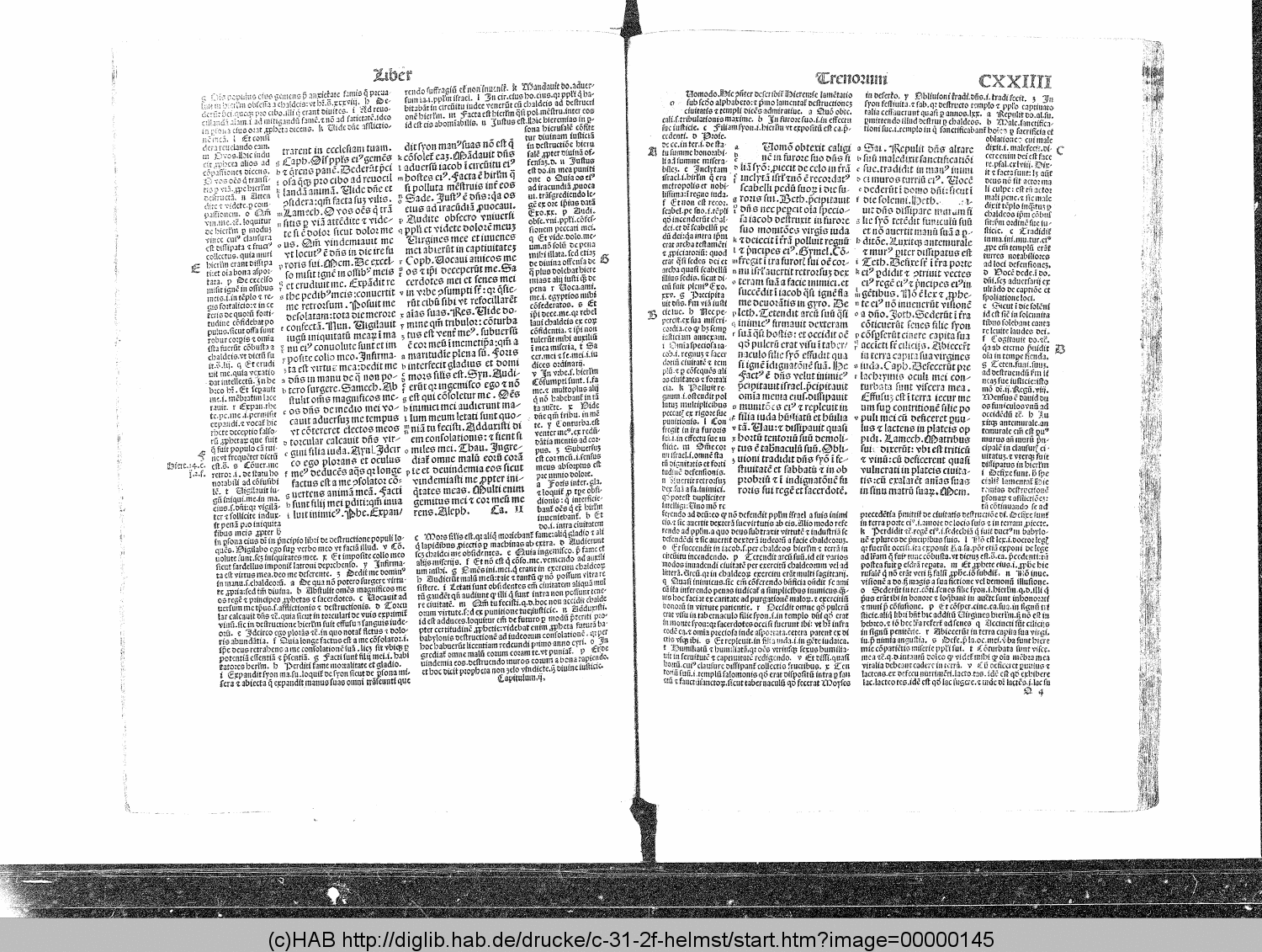 http://diglib.hab.de/drucke/c-31-2f-helmst/00000145.gif