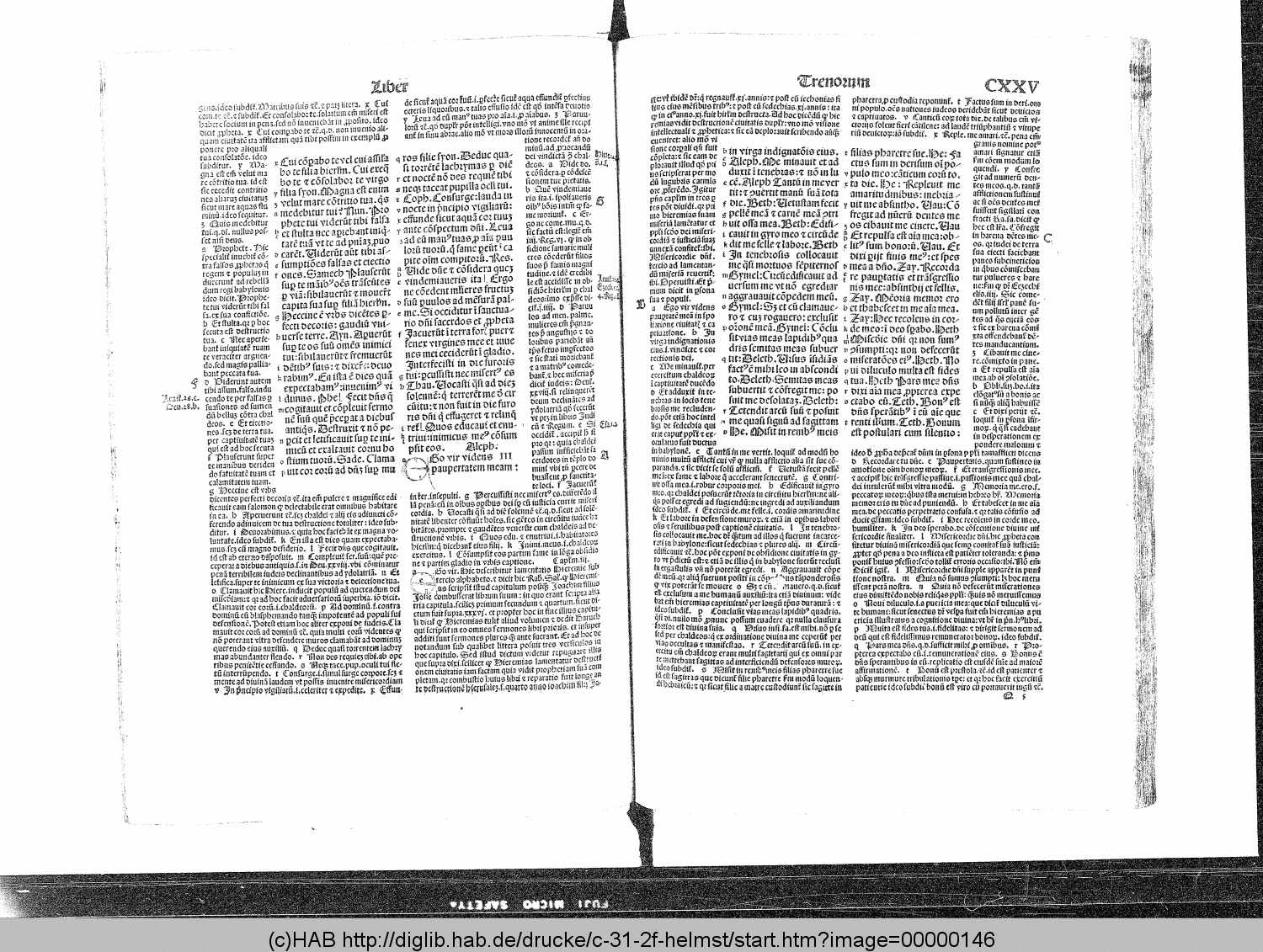 http://diglib.hab.de/drucke/c-31-2f-helmst/00000146.gif