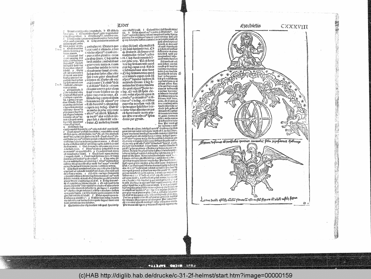 http://diglib.hab.de/drucke/c-31-2f-helmst/00000159.gif