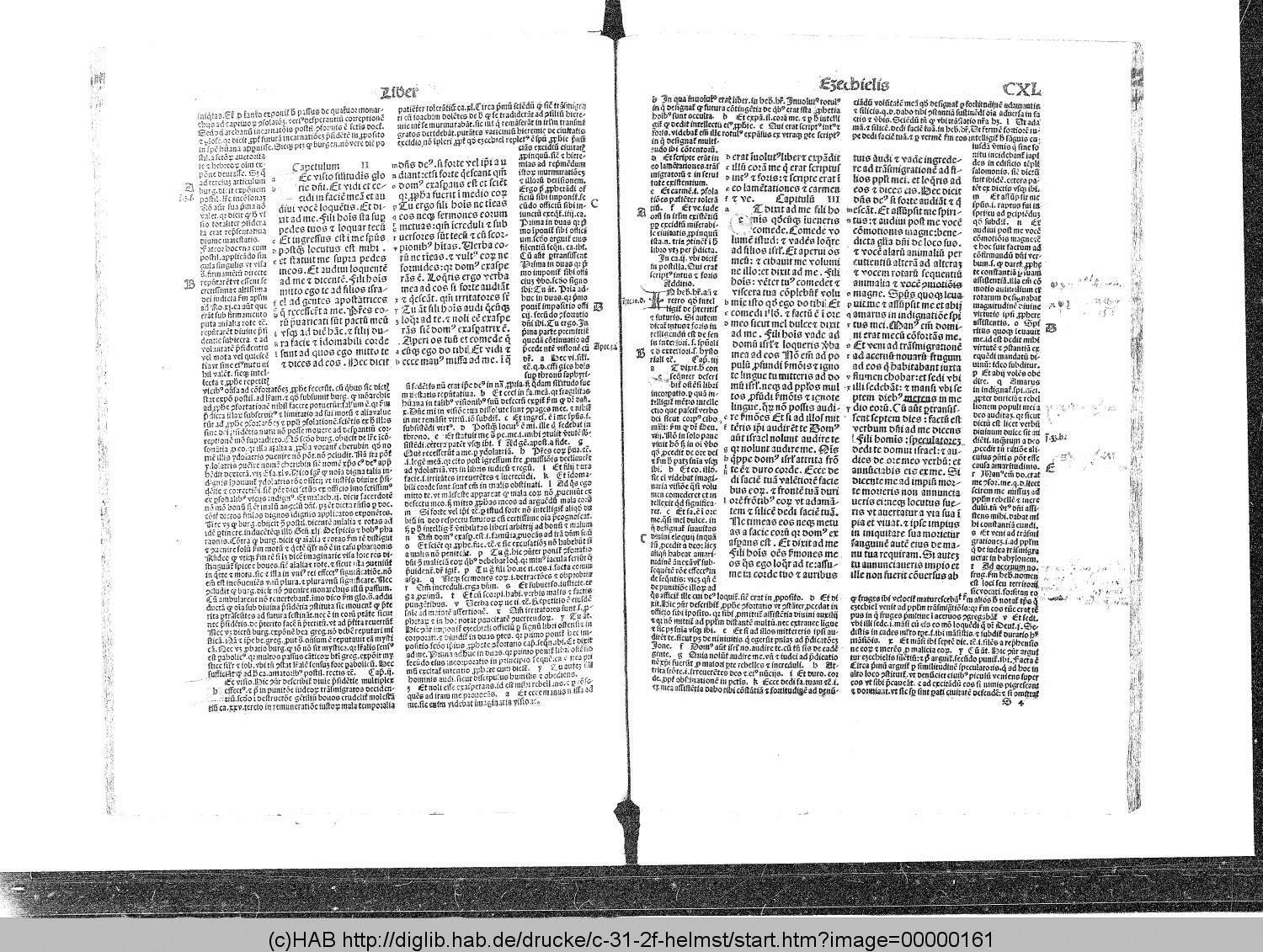 http://diglib.hab.de/drucke/c-31-2f-helmst/00000161.gif