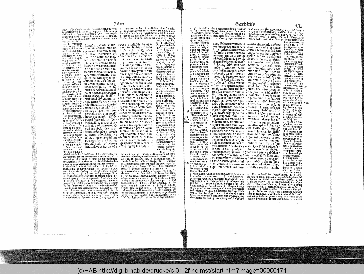 http://diglib.hab.de/drucke/c-31-2f-helmst/00000171.gif