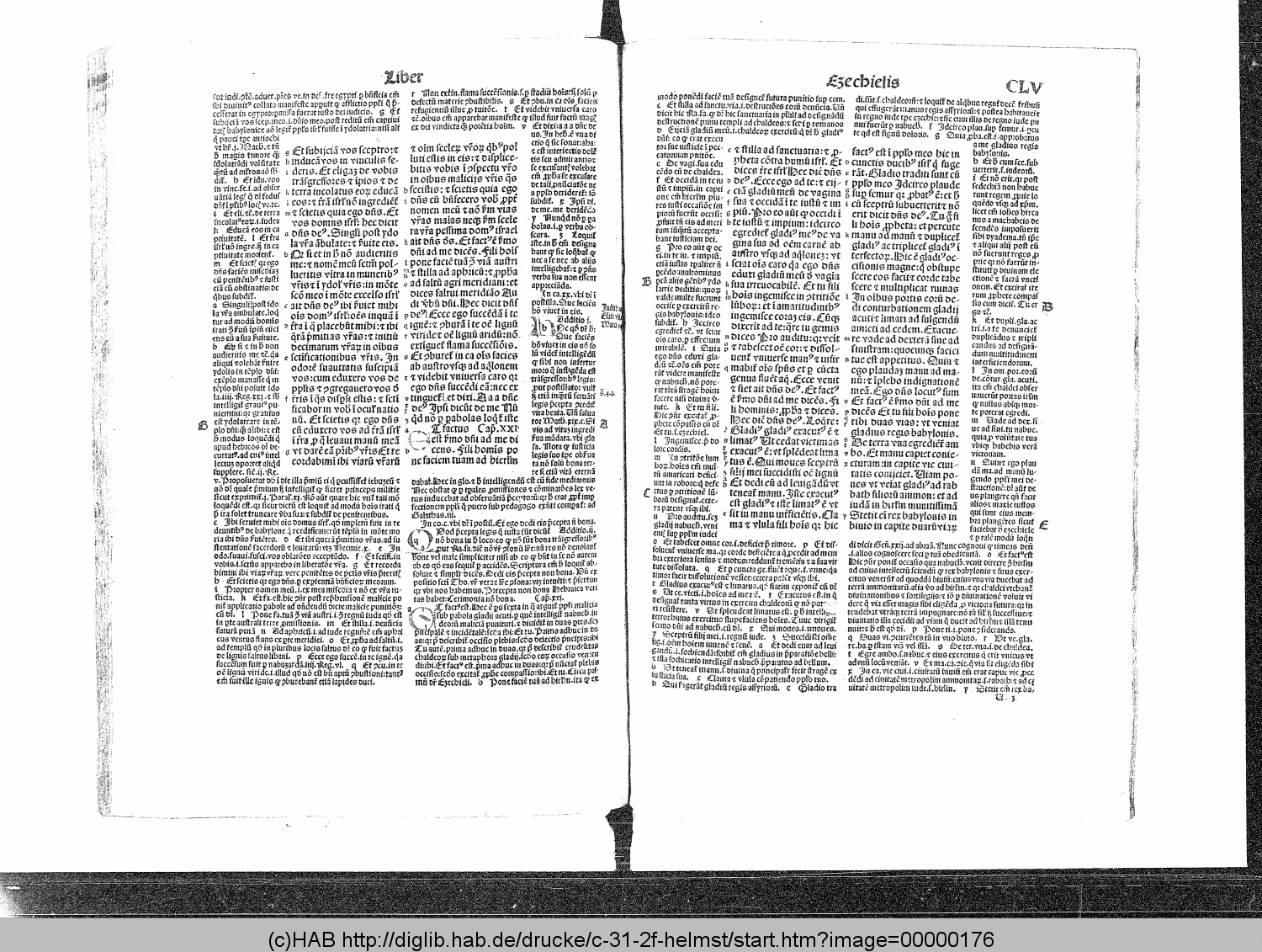http://diglib.hab.de/drucke/c-31-2f-helmst/00000176.gif