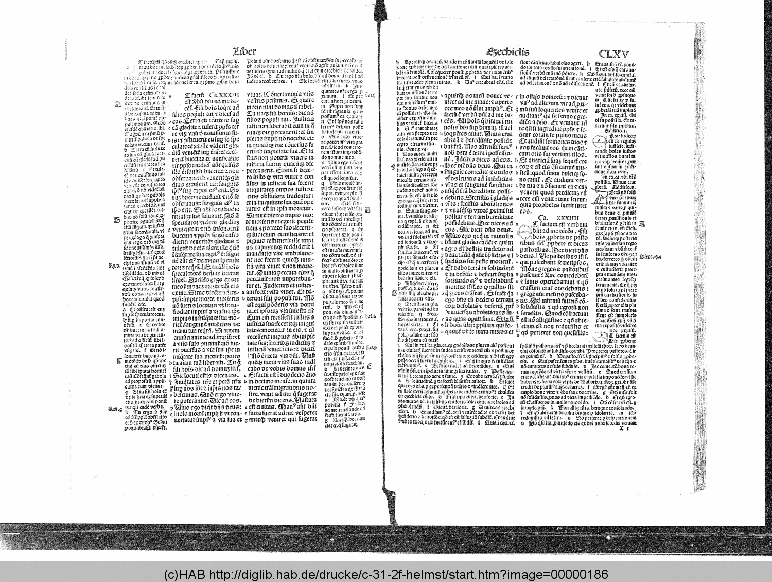 http://diglib.hab.de/drucke/c-31-2f-helmst/00000186.gif
