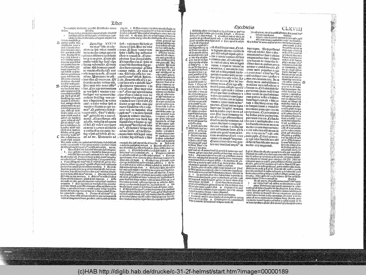 http://diglib.hab.de/drucke/c-31-2f-helmst/00000189.gif