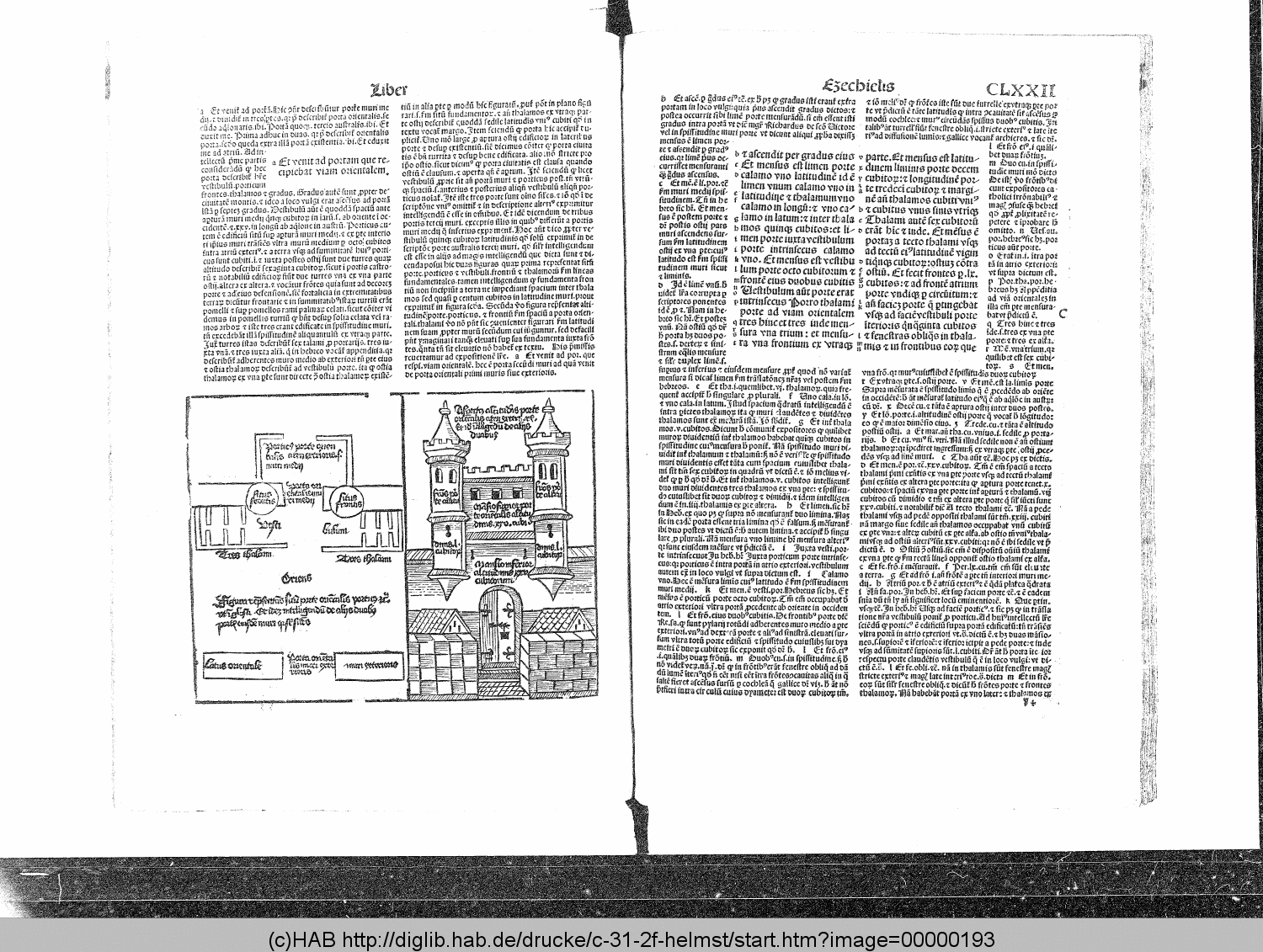 http://diglib.hab.de/drucke/c-31-2f-helmst/00000193.gif
