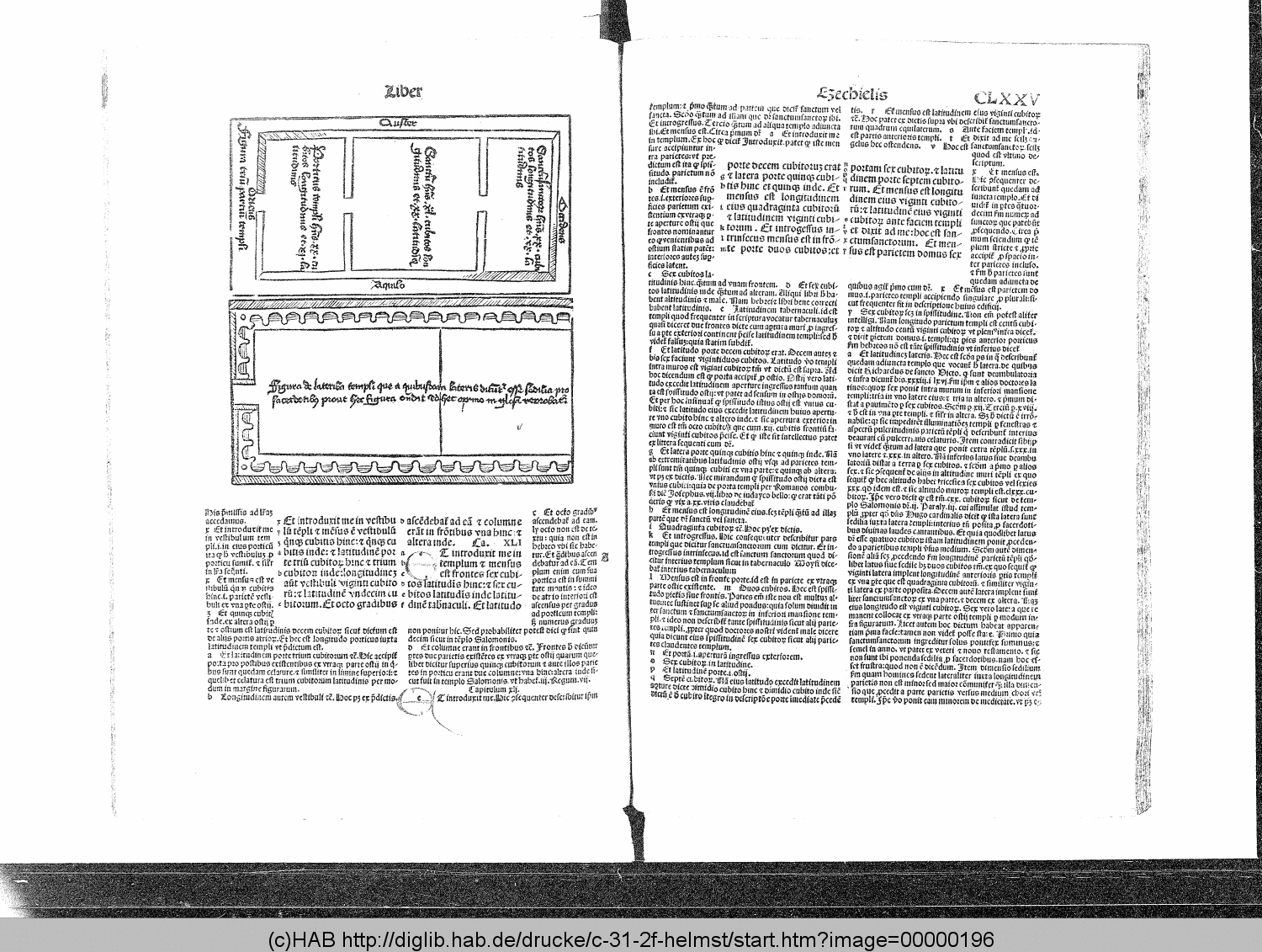 http://diglib.hab.de/drucke/c-31-2f-helmst/00000196.gif